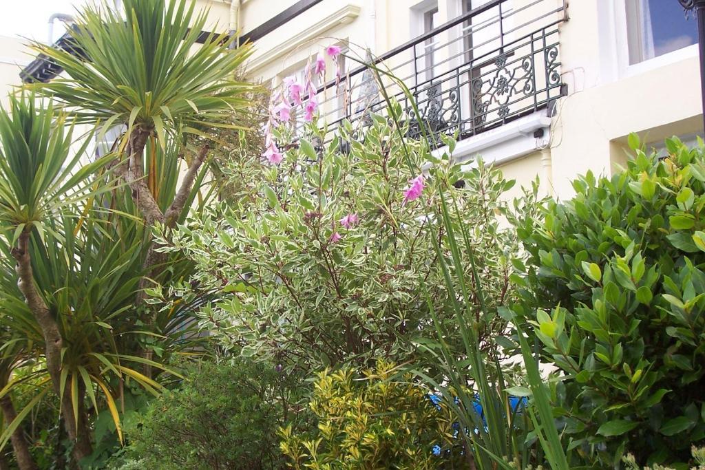 Ashwood Grange Bed & Breakfast Torquay Bagian luar foto